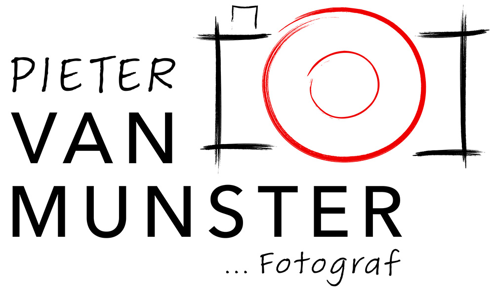pietervanmunster.de
